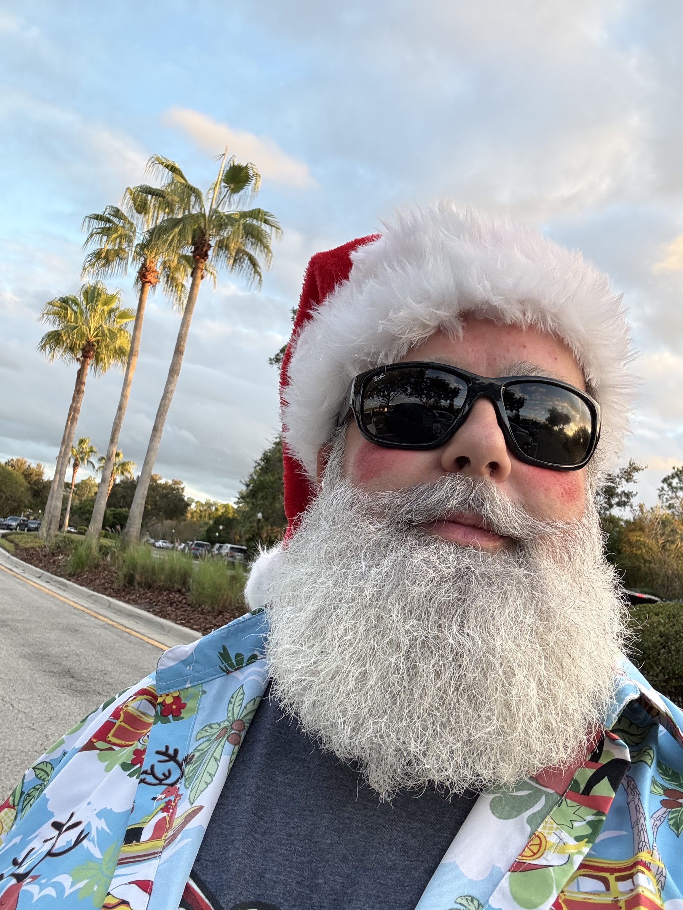 Holiday shirt and palm trees
